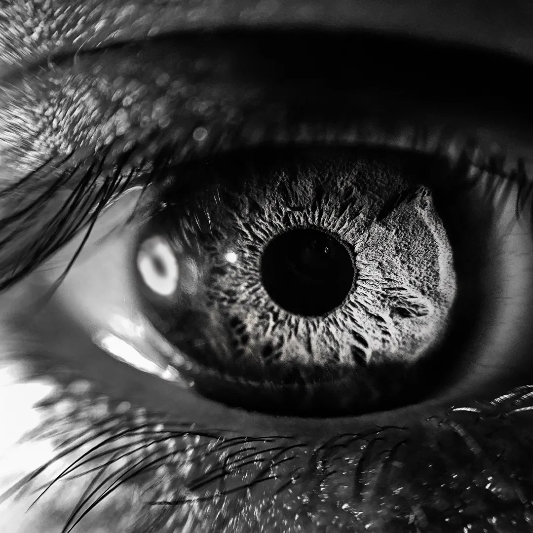 Close-up of an eye in black and white
